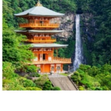 徒步新手也适合！世界遗产级徒步路线，红叶季不加价！日本熊野古道一日游