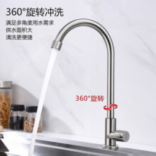 莱尔诗丹（Larsd）厨房水龙头 304不锈钢单冷水槽洗菜盆龙头 洗衣池拖布池龙头LD-08