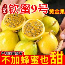 14.83斤大果 钦蜜9号黄金百香果