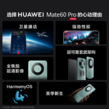 华为（HUAWEI）Mate 60 Pro雅川青12GB+512GB 卫星通话 超可靠玄武架构 全焦段超清影像 旗舰鸿蒙智能手机