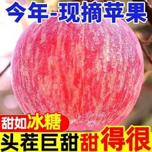 秒杀+淘金币12.6 霜降后现摘红富士苹果5斤券后12.64元