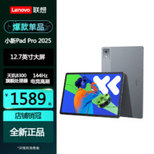 联想（Lenovo）平板电脑小新pad 低蓝光护眼全面屏 PadPro2025丨8+128丨12.7大象灰