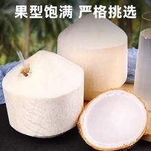 菲农 泰国香水椰青 9个装 900g/个