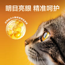 京东京造 宠爱系列 全价猫粮 海洋风味 2kg