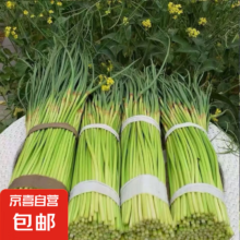 京喜加 新鲜蒜苔  1斤