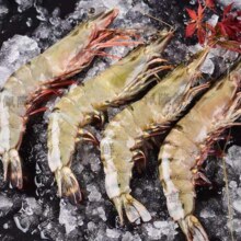 天降礼金、黑虎虾超大海虾鲜速冻竹节虾海鲜水产大黑虎1000g