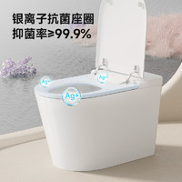 HUIDA 惠达 智能马桶带水箱 HDTA-EX09