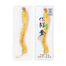 pplus会员：涌益堂保鲜人参【1支】10g/根