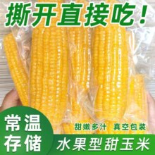 礼金+金币10.76！精品东北黄糯玉米220g*8根