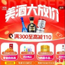双11狂欢、促销活动：京东双11 超市主会场 满300减110元