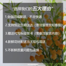 一花一恋平安夜圣诞节礼物平安果鲜花同城配送水果草莓花束礼盒送女友老婆 平安夜圣诞花束推荐 同城配送-留言送花日期