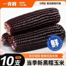 一支鲜 东北黑糯玉米 180g*10棒