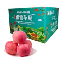 鲜果正传山东烟台栖霞红富士苹果 4.5斤 单果约200g 烟台苹果水果源头直发