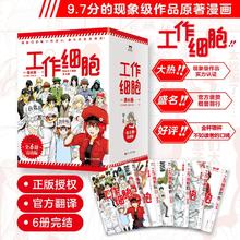 【新华正版】工作细胞 漫画全套 【全6册完结版】