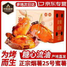 限移动端、京东百亿补贴：蒲恋 山东烟薯25号红薯糖心蜜甜薯烤薯地瓜番薯精选好果 现挖现发 5斤装 尝鲜装