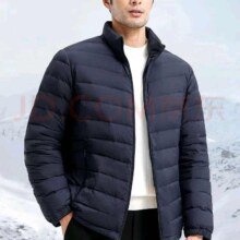 百亿补贴：雪中飞 男士日常休闲立领羽绒服 秋冬通勤时尚穿搭保暖