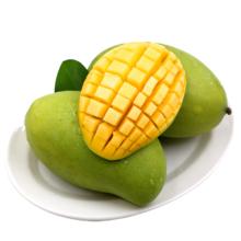 京鲜生新鲜玉芒 8.5斤 单果200g起 青皮芒果水果 源头直发包邮