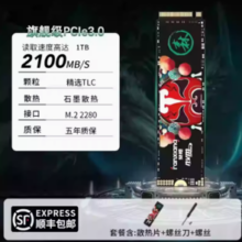 FANXIANG 梵想 S500 NVMe M.2 固态硬盘（PCI-E3.0）