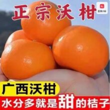 淘宝买菜农场直发 广西武鸣县沃柑 4.5斤装