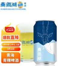 青海湖 青稞啤酒 330ml*6听