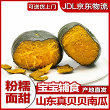 贝贝南瓜 正宗山东贝贝南瓜 栗香粉糯香甜刮泥小南瓜1000g （2斤）
