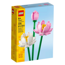 乐高（LEGO）玫瑰花40460 花束拼搭收藏款 女孩积木拼装玩具生日创意礼物 40647 荷花