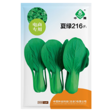 京农研 夏绿216号青梗菜 1g