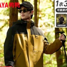 plus会员:鸭鸭 王一博同款冰壳系列新款三合一羽绒服 3款可选