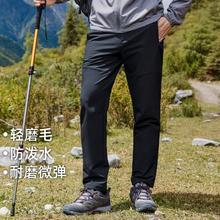 Pioneer Camp 拓路者 弹力耐磨防泼水户外软壳裤男款休闲裤2024秋冬磨毛直筒登山裤