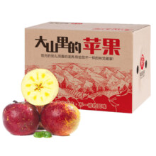 梦宛怡 冰糖心丑苹果 净重4.5-5斤 60-70mm 脆甜多汁