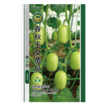 京农研 春秋玉女小黄瓜种子5粒