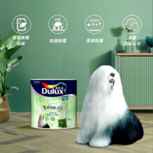 多乐士（Dulux）绿色家居致悦竹炭抗甲醛五合一净味环保小桶乳胶漆 补墙漆 A8146 1L单桶 白漆 不可调色