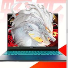 plus：机械革命（MECHREVO）蛟龙16Pro 16K R7-7435H RTX4060 灰色 16G+1T高