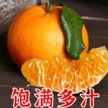 巨甜爆汁！尹福记 广西武鸣沃柑 净重 4.25 斤