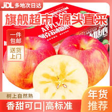 AKSU AKESU APPLE 阿克苏苹果 新疆冰糖心苹果 10斤一级果75-85mm