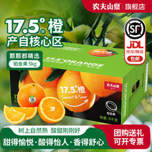 NONGFU SPRING 农夫山泉 17.5°度赣南铂金橙 5kg