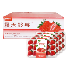 pLus会员、京东百亿补贴：Mr.Seafood 京鲜生 黔莓 大凉山露天草莓 单果15g-25g 300g*4g 礼盒装