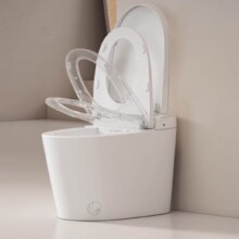Plus:瑞尔特（R&T）智能马桶全自翻盖无水压等离子杀菌节水UX8-305
