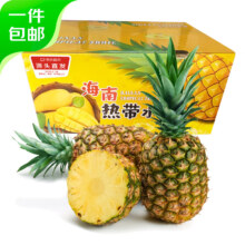京鲜生 海南金钻凤梨 净重4.5-5斤(2个) 单果1000g+*2件