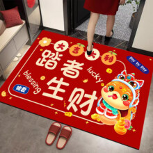 kVwnxW 2025蛇年新款水晶绒地垫入户门垫 60*90cm 多款