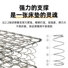 强力家具棕垫弹簧3cm椰棕垫 软硬两面弹簧舒适垫床垫进口面料静语经典 120*200*22cm