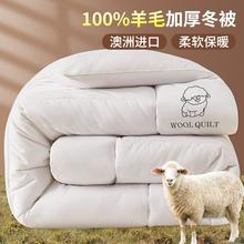 HODO HOME 红豆家纺 澳洲羊毛被 100%纯羊毛被子 冬被加厚 10斤 保暖 学生宿舍家用 春秋被芯