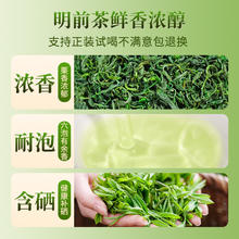 88VIP会员：君品臻 恩施玉露 一级 500g