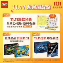 乐高（LEGO）积木拼装机械组系列42115 兰博基尼FKP不可遥控男孩玩具生日礼物