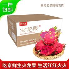 Mr.Seafood 京鲜生 树上熟红心火龙果4.5斤装 单果300g+