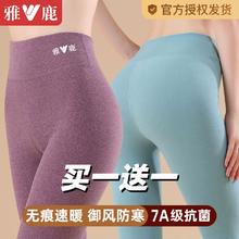 雅鹿秋裤女士保暖裤线裤加厚加绒德发热女款内穿薄款打底棉裤冬季