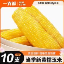 一支鲜 东北黄糯玉米棒 180g*10棒