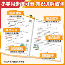 《小学实验班提优训练》（2025春、年级/科目/版本任选）