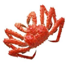 预售：鲜京采 熟冻帝王蟹 3.6-4.0斤  螃蟹年货年夜饭海鲜礼盒