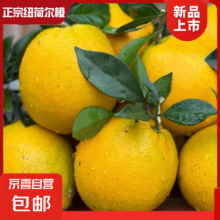 12月4日0点、限量3000件：橙子应季新鲜水果一整箱 湖北纽荷尔脐橙 5斤60-65mm